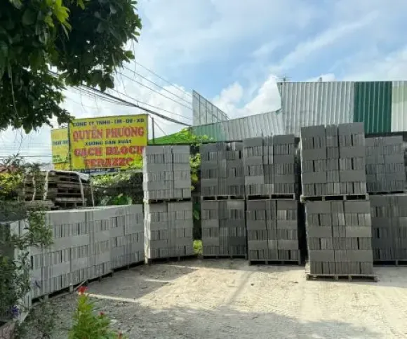 Tin tức
